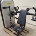 1436616-2 Triceps machine - Technogym, Arm Extension