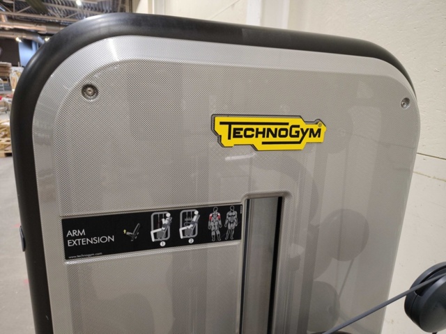 1436616-4 Triceps machine - Technogym, Arm Extension