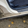 1429103-10 Toyota Corolla 5-door Liftback 1.6 Manual, 90hp, 1988