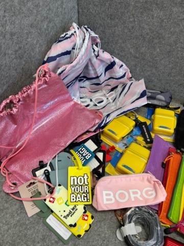 1368199-28 Lot of bags and accessories - Epic, Puccini, The Chesterfield Brand, etc.