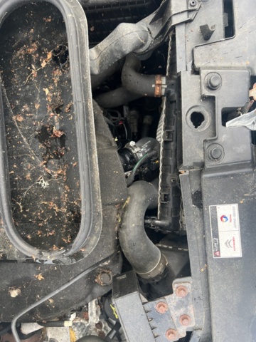 1351312-23 Skåpbil Citroën Jumpy Van 2.0 HDi 163hk, -2016 (Reparationsobjekt) Ny info