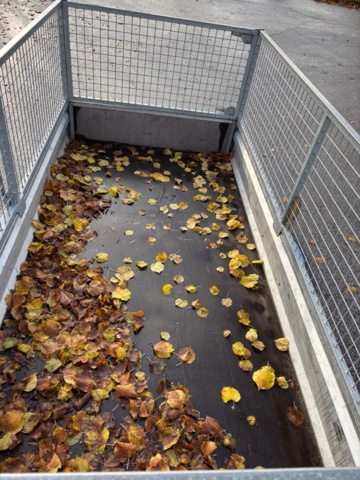 918909-10 Släpvagn - Wiola (Obromsat)