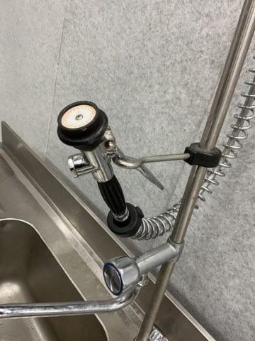 1406584-9 Stainless steel bench with shower head