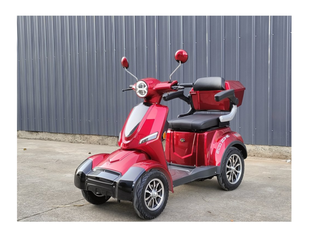 1443074-2 Promenadskoter - Svart & röd