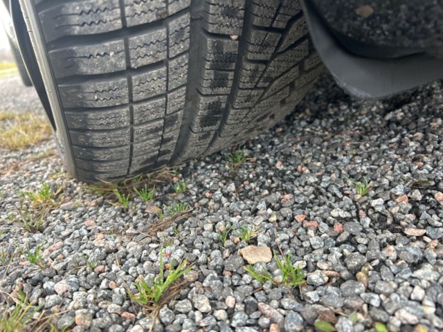 1423473-55 Mercedes-Benz AMG GT S , 510hk -2016