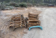 1321188 Skogsband Olofsfors  OF 710/55x26,5  2st (1st par)