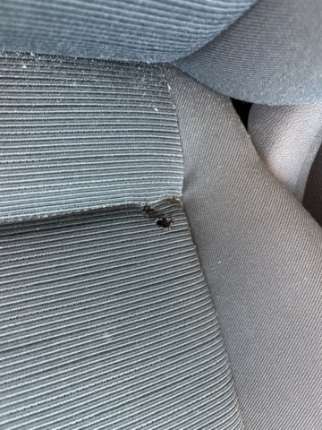 1444624-56 Volkswagen Golf 5-dörrar 1.6 FSI Manuell - 2004