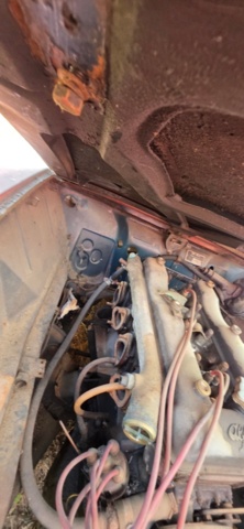 1320019-6 Alfa Romeo Giulia Sprint GT 1.6 Manual, 106hp, 1965 (Repair item)