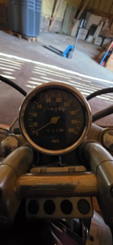 1320024-8 Yamaha XV535 0.5 Manuell, 46hk, 1994 (Renoveringsobjekt)