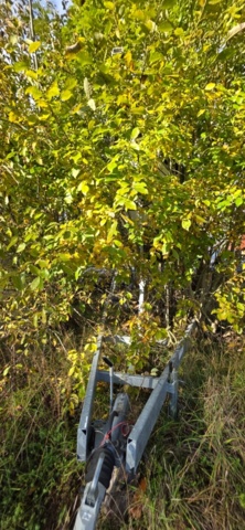 1320025-10 Släpkärra till seglbåt Harbeck BT 3500