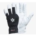 1447304-1 12 st Getskinnhandskar Gloves Pro DEX 12 vinter, Strl 8