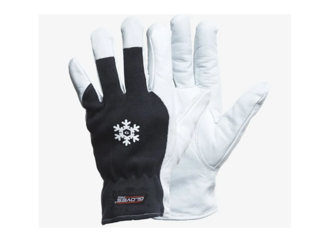 1447304-1 12 st Getskinnhandskar Gloves Pro DEX 12 vinter, Strl 8