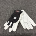 1447304-2 12 st Getskinnhandskar Gloves Pro DEX 12 vinter, Strl 8