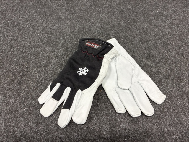 1447304-2 12 st Getskinnhandskar Gloves Pro DEX 12 vinter, Strl 8