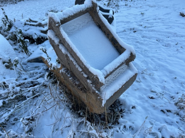 1429993-81 Wheel excavator - Wacker Neuson EW100 -2022