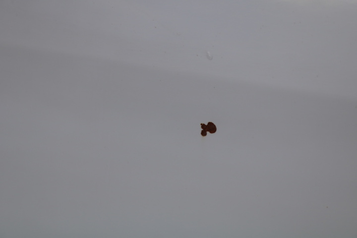 1416713-20 Volkswagen Touran 5-sätes 1.4 TGI EcoFuel DSG. 2013