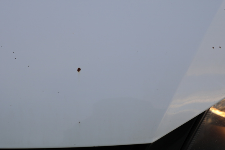 1416713-28 Volkswagen Touran 5-sätes 1.4 TGI EcoFuel DSG. 2013