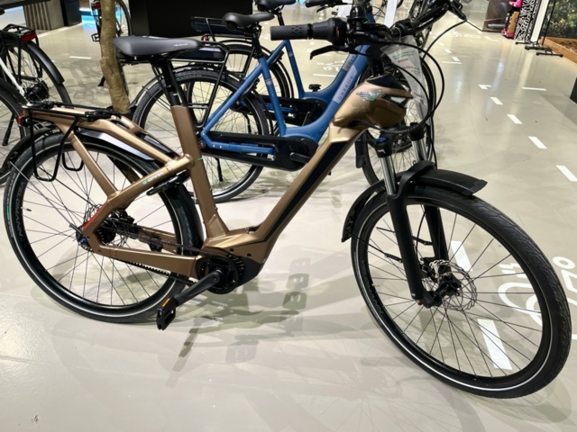 1423969-1 Electric bike (without battery) - Bianchi e-Omnia C-Type Nex 5