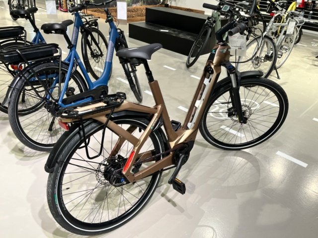 1423969-2 Electric bike (without battery) - Bianchi e-Omnia C-Type Nex 5