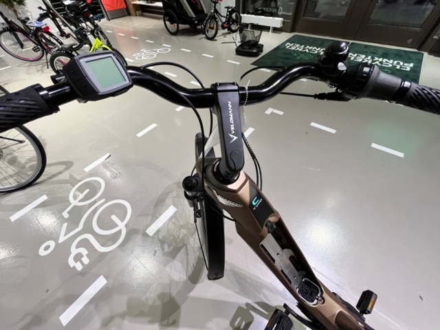 1423969-6 Electric bike (without battery) - Bianchi e-Omnia C-Type Nex 5