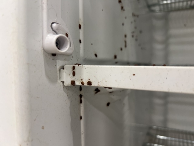 1449333-17 Frys CFS344-D33N