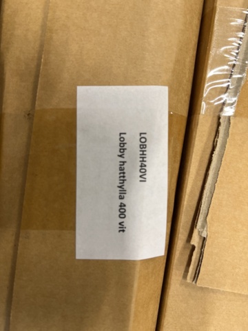 1449514-4 10 pcs Hat racks Lobby 400 white