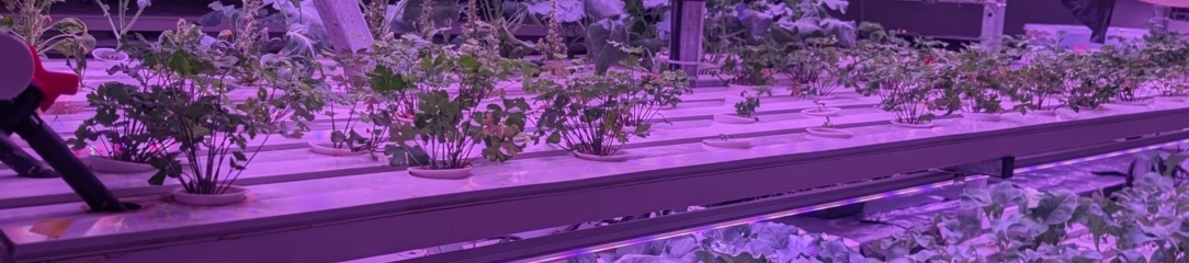 Bild som representerar auktionen - Avyttring komplett hydroponiskt odlingssytem