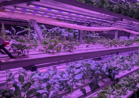 Avyttring komplett hydroponiskt odlingssytem