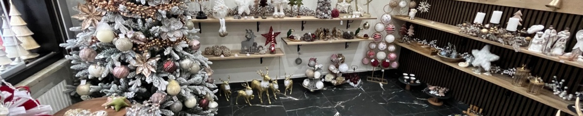 Bild som representerar auktionen - Inredningsbutik i konkurs