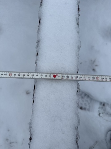 1321211-16 Båtvagn 8 m