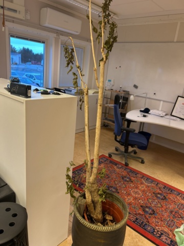 1423697-8 Soffgrupp med diverse möbler och inredning