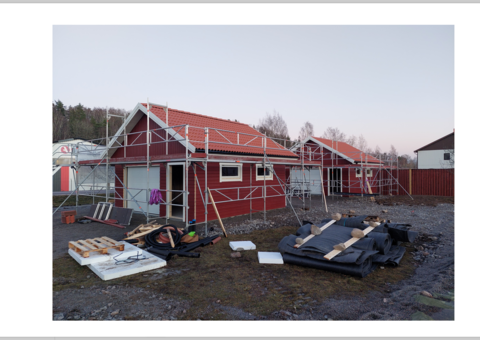 Bild som representerar auktionen - Avyttring husstommar