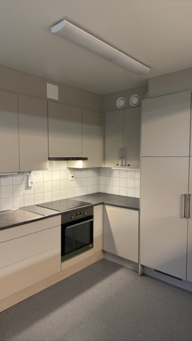 1454525-4 Complete kitchen from 2017 (dismantled)