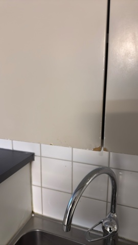 1454525-22 Complete kitchen from 2017 (dismantled)