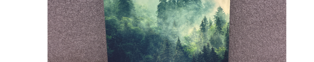 Bild som representerar auktionen - Avyttring produkter för kontor, industri, lager och verkstad