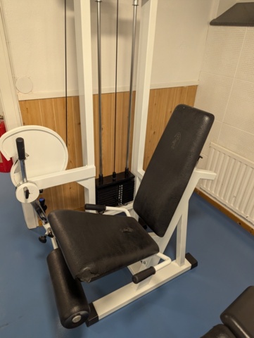 1462013-2 Gymmaskin Leg Extension