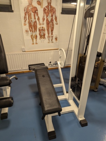 1462014-1 Gymmaskin leg curl