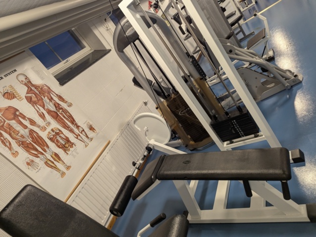 1462014-2 Gymmaskin leg curl