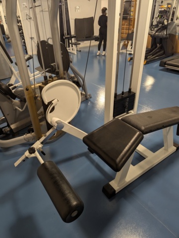 1462014-5 Gymmaskin leg curl