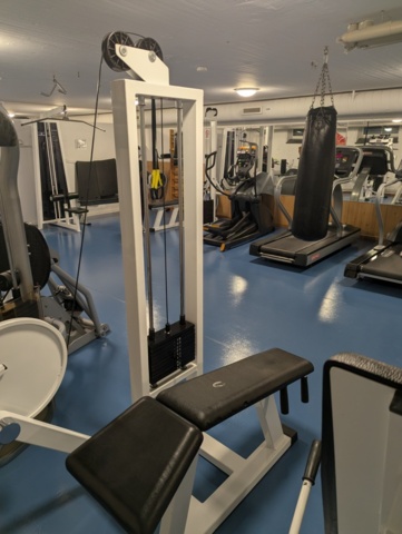 1462014-6 Gymmaskin leg curl