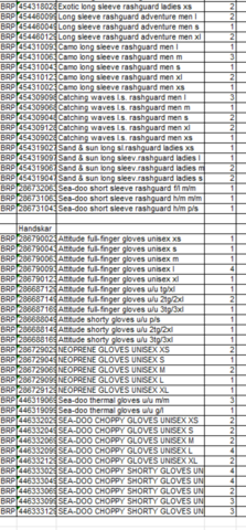 1409384-61 Parti med flytvästar, våtdräkter, skor, glasögon, kläder etc. Seadoo