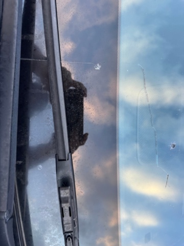 1405380-35 Toyota ProAce 1.6 D-4D Manuell, 116hk, 2019