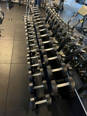 1351382-2 Dumbbell rack & dumbbells - Gymleco