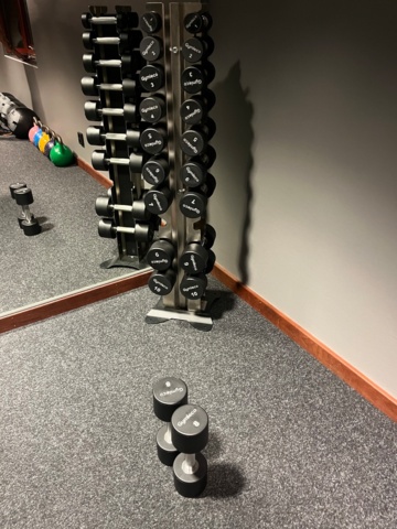 1351386-3 Dumbbell rack and dumbbells (1–10 kg) - Gymleco