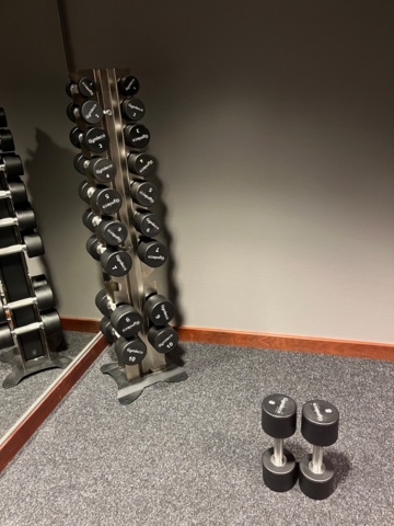 1351386-2 Dumbbell rack and dumbbells (1–10 kg) - Gymleco