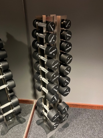 1351386-1 Dumbbell rack and dumbbells (1–10 kg) - Gymleco