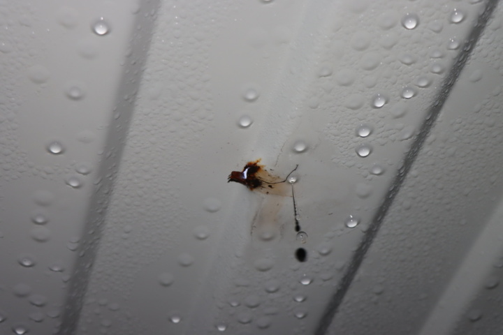 1295801-22 Container 20 fot