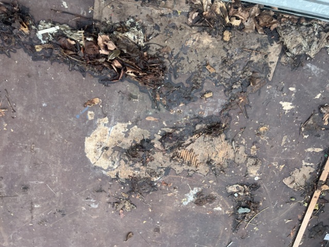 1351378-9 Släpvagn - Thule ZS1000 -2011