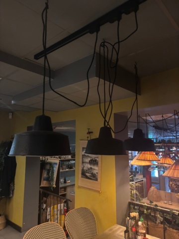 1463544-6 Sarah Pendel – taklampa – 11 st – nordisk design