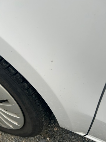 1344025-15 Mercedes-Benz Marco Polo 220d 3.1t 9G-Tronic, 163hp, 2022